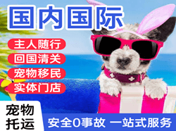 柳州白莲机场空运国际宠物托运 【国